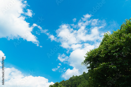 夏の空
