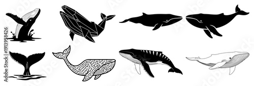 Whale silhouettes and geometric line art set, ocean mammals collection, humpback and blue whale illustrations, nautical animal vector elements, marine life graphics for design