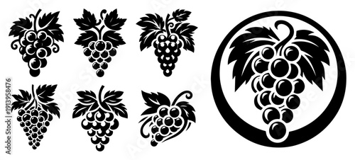 Grape bunch silhouettes set, black and white vine fruit illustrations, vineyard logo elements, decorative wine grapes clusters vector, fruit harvesting graphics