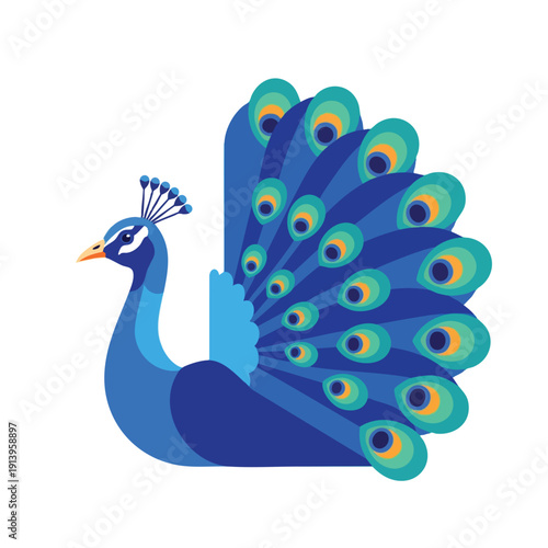 Vibrant Blue Peacock Spreads Its Stunning Feathers