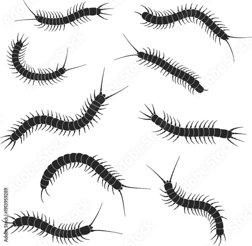 Black silhouette illustration collection of ten centipedes with segmented bodies and antennae, perfect for entomology, biology, education, and graphic design projects