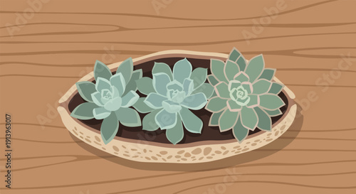 Three succulent plants in a speckled pot on a wooden surface