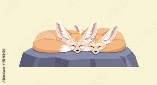 Two adorable fennec foxes sleeping peacefully on a rock