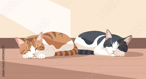 Two cats peacefully napping on a wooden floor, bathed in soft light