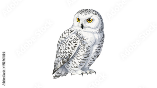 Realistic Snowy Owl Bird Illustration on White Background