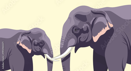 Two large elephants with tusks touch trunks against pale yellow backdrop
