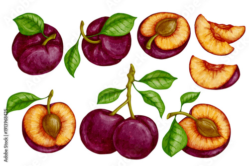 A collection of ripe, juicy seasonal fruits and plums and fruit pieces. Vector graphics.