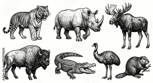 Detailed black and white illustrations of various wild animals.