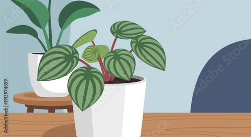 Two potted green houseplants sit on a wooden surface against a light blue wall