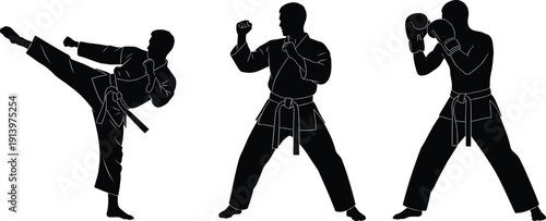Martial artist silhouette collection showing karate and boxing stances, kicking and fighting poses, black vector illustration set isolated on white background for combat sports design
