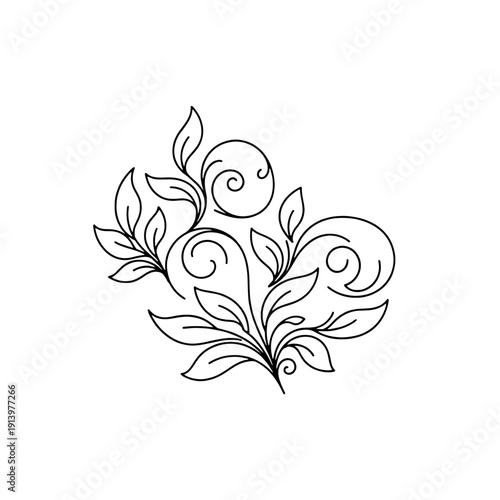 Elegant Black and White Floral Swirls and Leaves Design