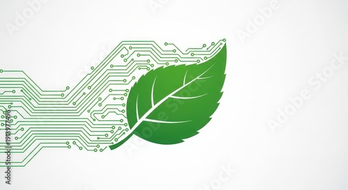 Green leaf on digital circuit board technology background futuristic eco innovation concept