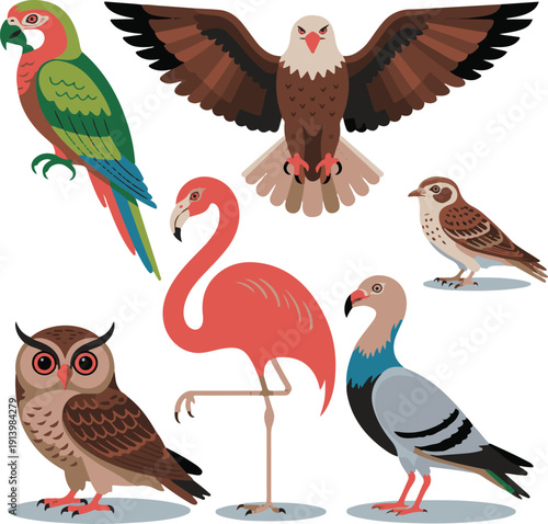Different bird breeds including parrot, eagle, sparrow, owl, flamingo and pigeon, clean modern vector illustration