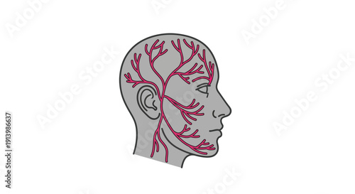 Illustration of a human head in profile showing a complex network of red branching lines, possibly representing nerves or blood vessels.
