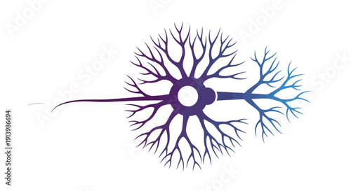 Stylized illustration of a neuron with branching dendrites and axon, featuring a purple to blue gradient on a white background.