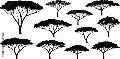 African Acacia Tree Silhouette Collection Isolated on White Background for Savanna Landscape Nature Vector Illustration Design