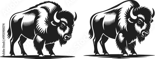 American Bison Silhouette Vector Illustration Featuring Detailed Buffalo in Standing Pose Isolated Wildlife Graphic Design