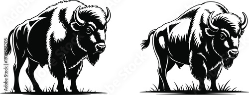 American Bison and Buffalo Silhouette Vector Set Featuring Detailed Wild Mammal in Standing Pose Isolated Illustration