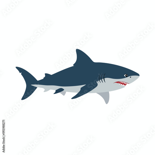 Cartoon Shark Illustration