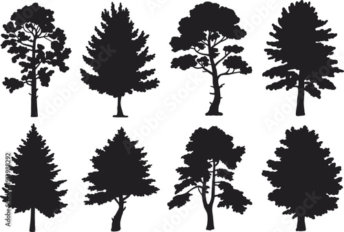 Tree Silhouette Collection with Pine and Deciduous Forest Trees Black Vector Set Isolated on White Background