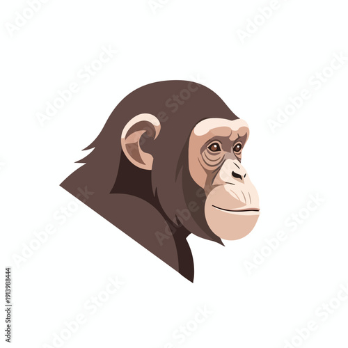 Front view of a realistic chimpanzee illustration emphasizing natural facial features and expressive eyes