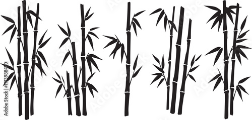 Set of Asian bamboo forest silhouettes. Vector black tropical plant stalks, stems, and leaves collection.