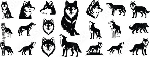 Wolf Silhouette Collection with Howling, Standing and Portrait Poses Isolated on White Background Wildlife Vector Illustration Set