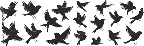 Flying Bird Silhouette Collection in Various Wing Positions Vector Illustration Set Isolated on White Background for Design