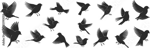 Flying Bird Silhouettes Collection with Detailed Wing Positions Vector Illustration Set Isolated on White Background for Graphic Design