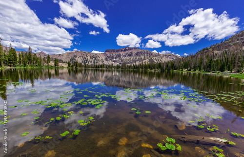 Принти на полотні The Uinta Highlands of the Utah Rocky Mountains