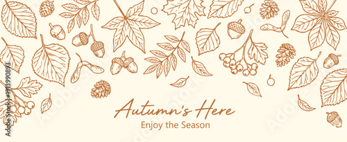 Autumn leaves border vector collection of hand drawn oak and maple foliage with acorns in a line art sketch style for seasonal fall greetings, nature banners and thanksgiving design.