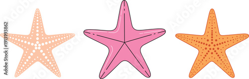 Starfish Set Illustration – Colorful Sea Star Collection Vector