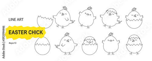Chick Easter Day linear icon, chicken outline design. Bird shell hand drawn set. Coloring animal doodle, little farm character isolated on white background. Vector illustration
