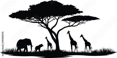 Photography Black silhouette of an acacia tree with giraffes and elephants on grassy ground
