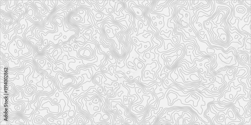 modern white and grey Topographic Contour line Map Background With Abstract Elevation Lines and Minimal Gray Texture and organic shapes.