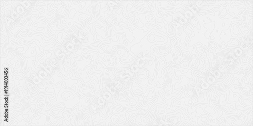 modern white and grey Topographic Contour line Map Background With Abstract Elevation Lines and Minimal Gray Texture and organic shapes.