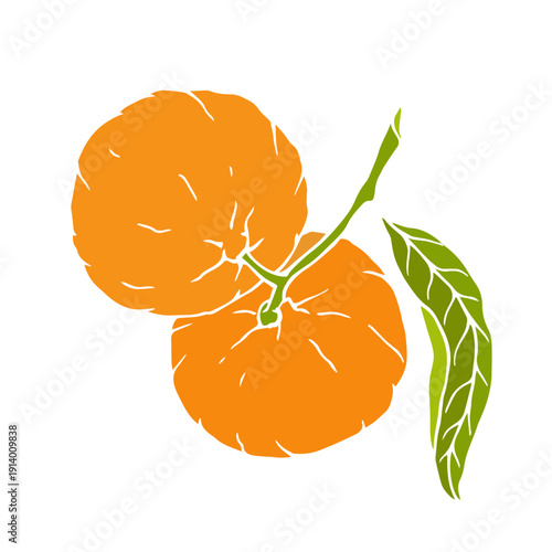 Ripe tropical mandarin fruit. Vector graphics.