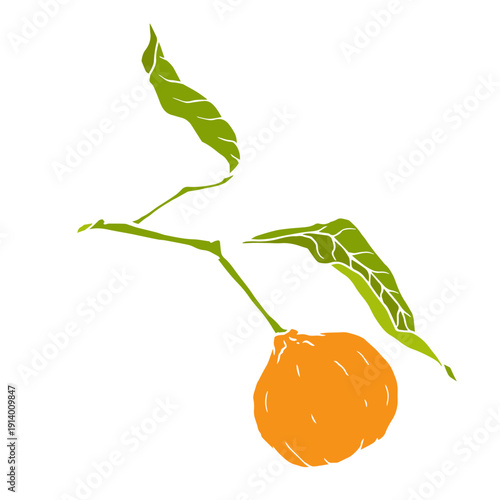 Ripe tropical mandarin fruit. Vector graphics.