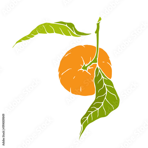 Ripe tropical mandarin fruit. Vector graphics.