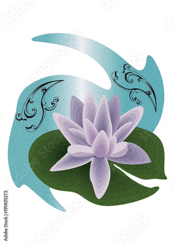 water lily flower and lily