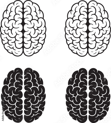 human brain vector illustration