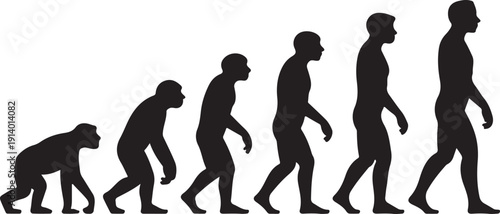 Human business evolution