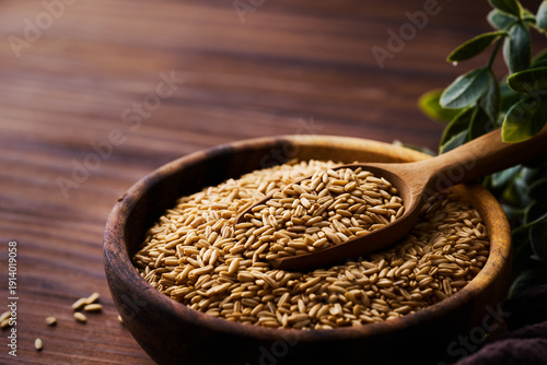 closeup whole oat groat in wood scoop on wooden rustic table dark mood background with copy space