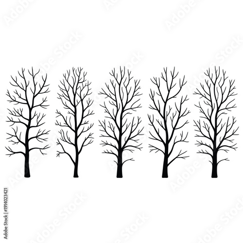 Silhouette of five bare trees against a white background