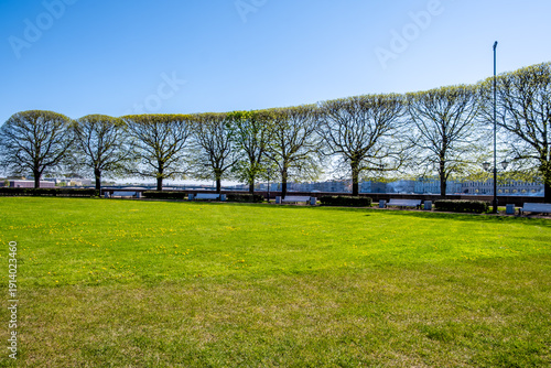 Lawns with grass and trees in the city center.