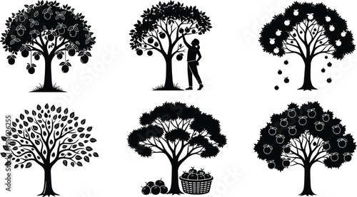Black fruit tree silhouette set with apple, orange and lemon trees, harvesting scene with person picking fruit and basket for farming