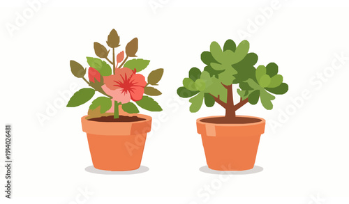 Cute Cartoon Indoor Plant Duo Vector with Hibiscus Blossom and Jade Succulent in Terracotta Pots