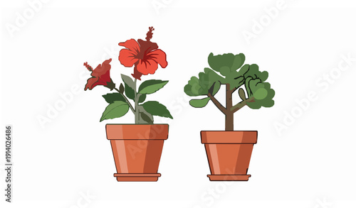 Flat Vector Set of Hibiscus Flower Plant and Jade Succulent in Terracotta Pots Isolated on White