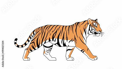Illustration of a walking Bengal tiger with distinctive orange and black stripes.
