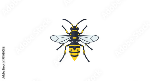 A cartoon illustration of a black and yellow striped wasp seen from above, featuring transparent wings and short antennae.